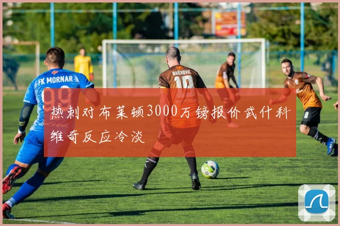 热刺对布莱顿3000万镑报价武什科维奇反应冷淡